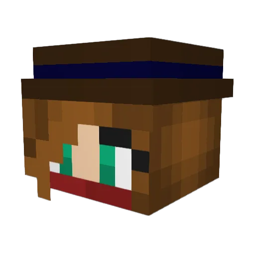 _Nether_Rain_ Minecraft avatar head, 3D render