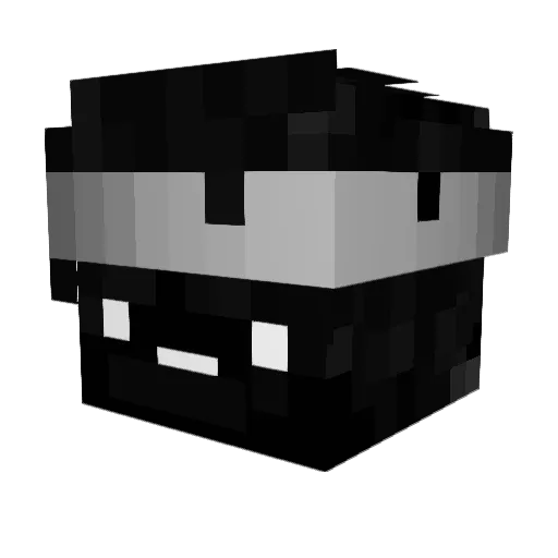 _Nexo0_ Minecraft avatar head, 3D render