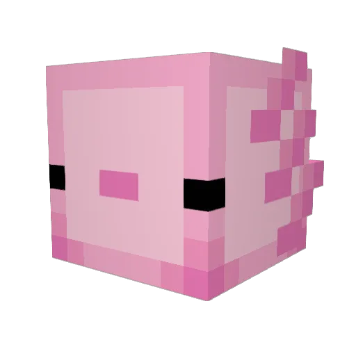 _NezukoXD Minecraft avatar head, 3D render