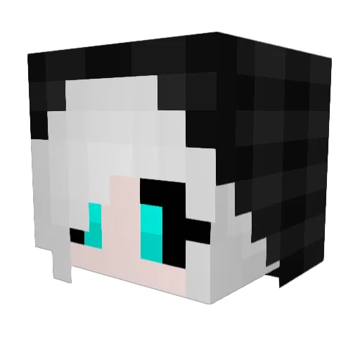 _Nicasio_ Minecraft avatar head, 3D render