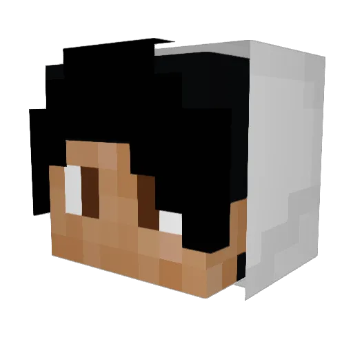 _Nick Minecraft avatar head, 3D render