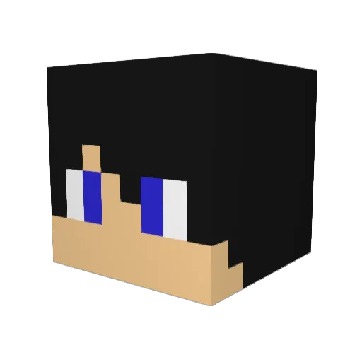 _NickJR_ Minecraft avatar head, 3D render
