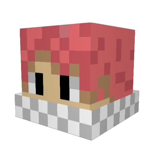 _Nicknam_ Minecraft avatar head, 3D render
