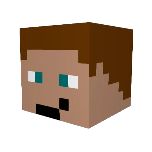 _Nickodemus_ Minecraft avatar head, 3D render