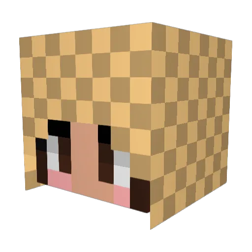 _Nicobe_ Minecraft avatar head, 3D render