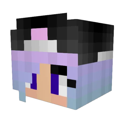 _Nidawi Minecraft avatar head, 3D render