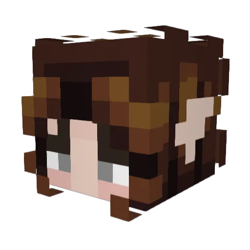 _NightLunatic Minecraft avatar head, 3D render