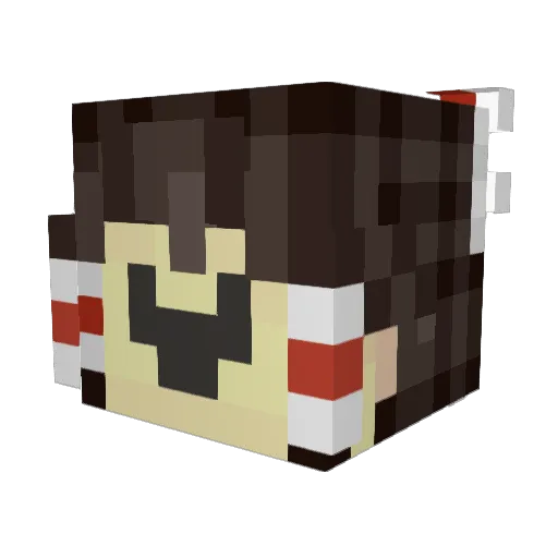 _NightPaise_ Minecraft avatar head, 3D render