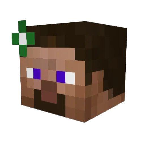 _NightWh0AreY0u_ Minecraft avatar head, 3D render
