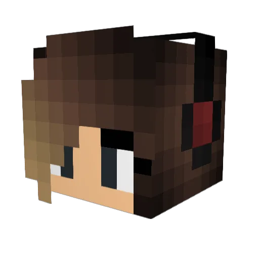 _Nightwatcher Minecraft avatar head, 3D render