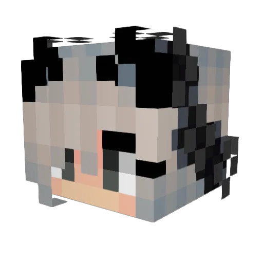 _Nikamim Minecraft avatar head, 3D render