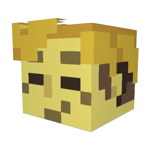 _Nikss Minecraft avatar head, 3D render
