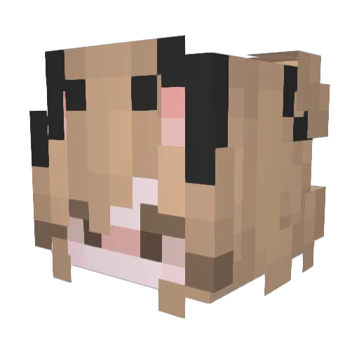_Nilsa_87 Minecraft avatar head, 3D render
