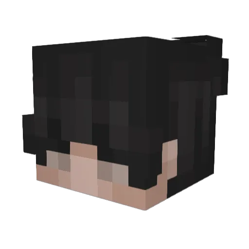 _NineLota_ Minecraft avatar head, 3D render