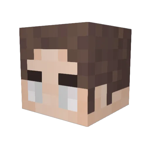 _Nitrodax_ Minecraft avatar head, 3D render