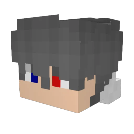 _NoMorePots_ Minecraft avatar head, 3D render