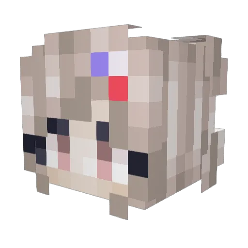 _NoNameGamer_ Minecraft avatar head, 3D render