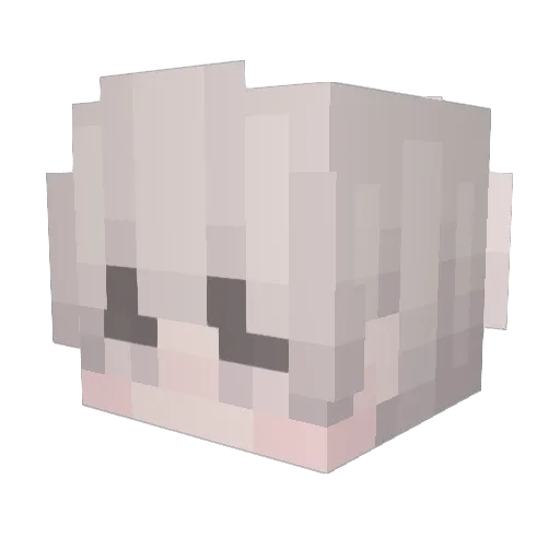 _NoSkILL1337 Minecraft avatar head, 3D render