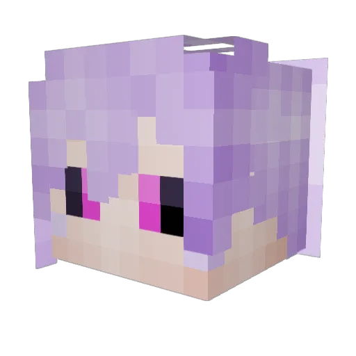 _NoTShadoW_ Minecraft avatar head, 3D render