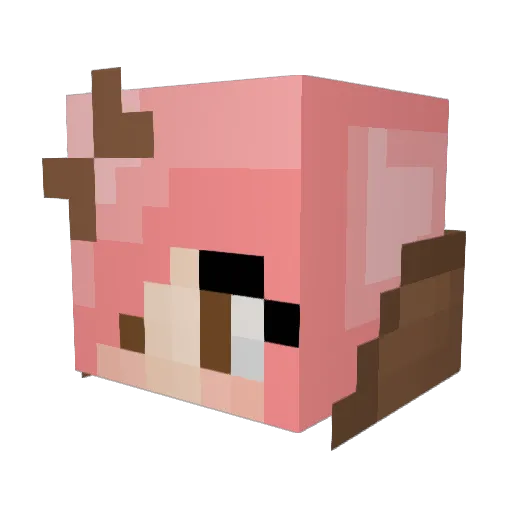 _Noag Minecraft avatar head, 3D render