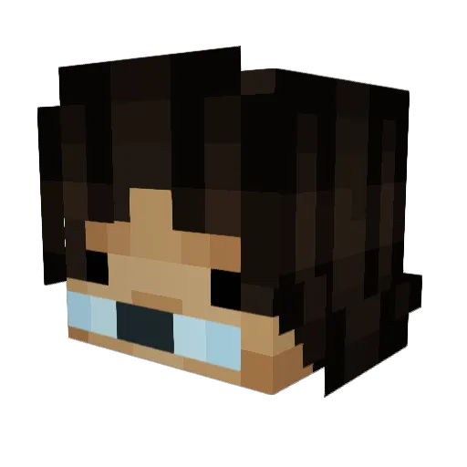 _NobleHero Minecraft avatar head, 3D render