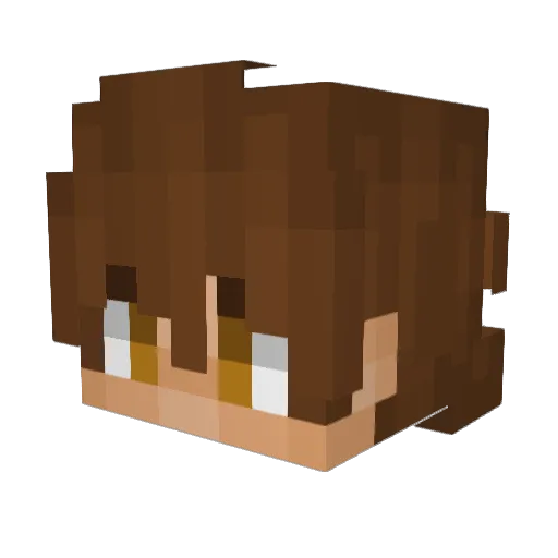 _Nocton_ Minecraft avatar head, 3D render