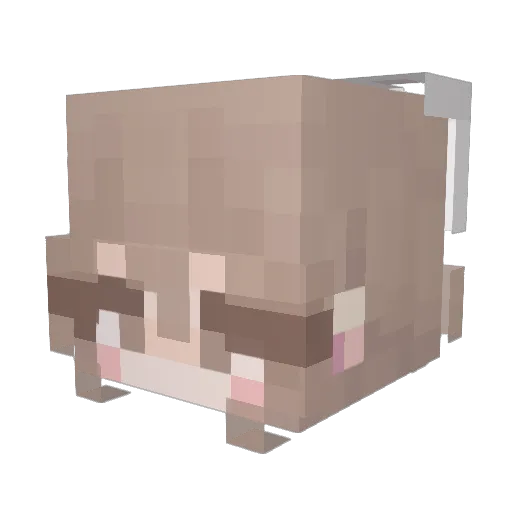 _Noemy_ Minecraft avatar head, 3D render