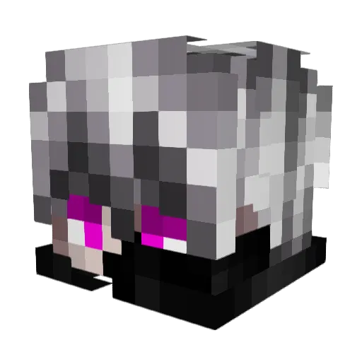 _Nokii_ Minecraft avatar head, 3D render