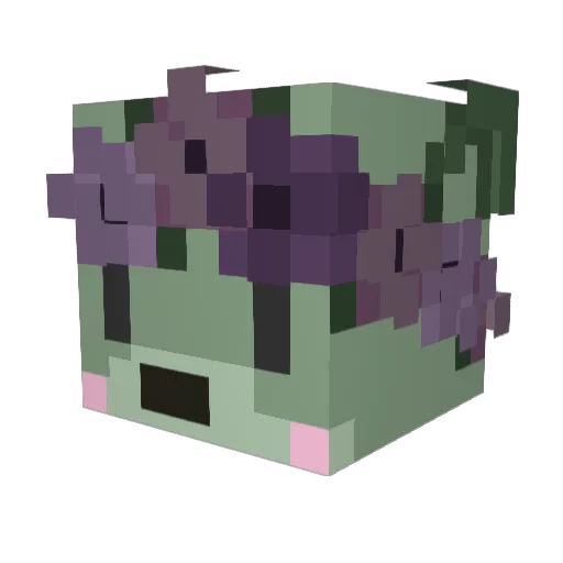 _Noobish_ Minecraft avatar head, 3D render