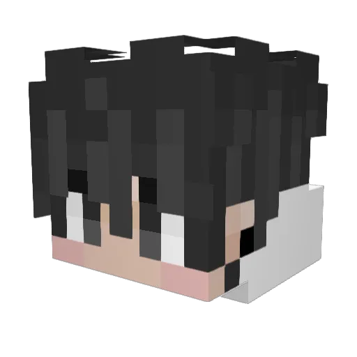 _NorthcheN_ Minecraft avatar head, 3D render