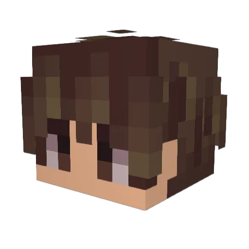 _NotFrosty_ Minecraft avatar head, 3D render