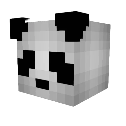 _NotPanda_ Minecraft avatar head, 3D render
