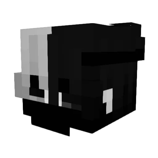 _NotSimp Minecraft avatar head, 3D render