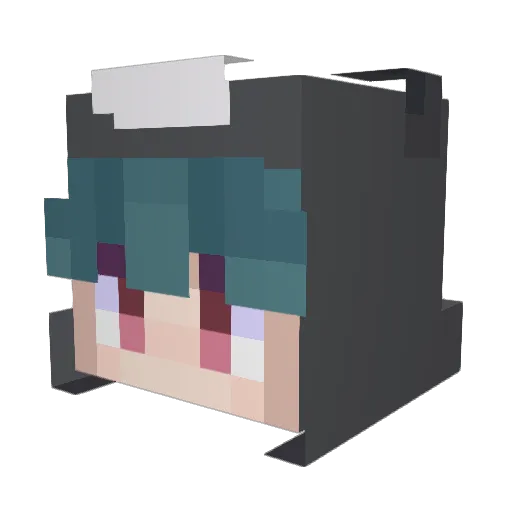 _Not_A_Bear Minecraft avatar head, 3D render