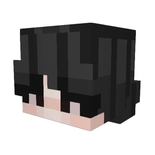 _Not_Depressed_ Minecraft avatar head, 3D render
