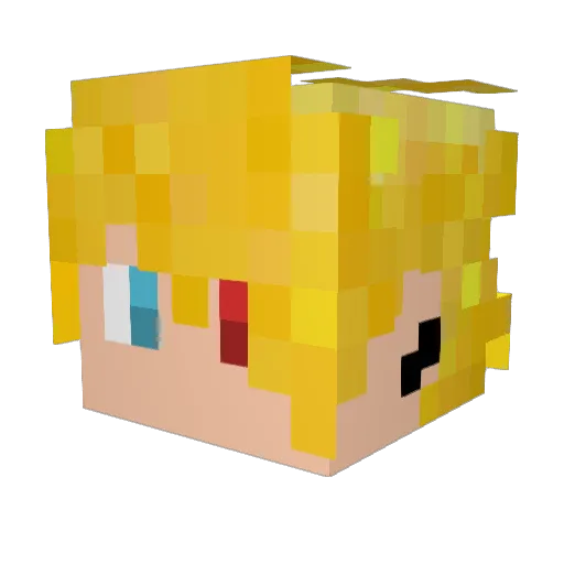 _Novaaa_8 Minecraft avatar head, 3D render