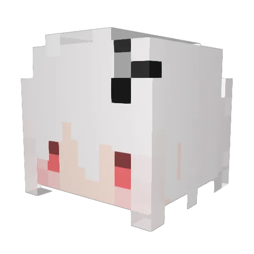_NuIl Minecraft avatar head, 3D render