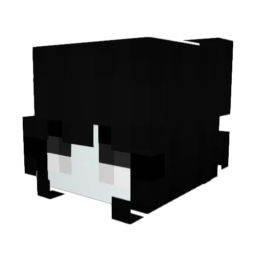 _Nunin Minecraft avatar head, 3D render