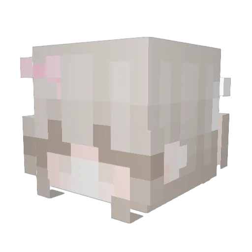 _Nyna Minecraft avatar head, 3D render