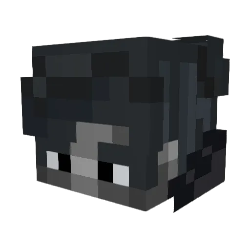 _NyteBeast_ Minecraft avatar head, 3D render