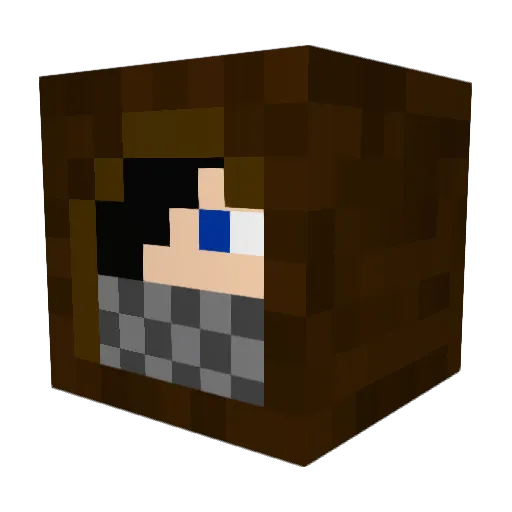 _ONE_FOR_ALL_ Minecraft avatar head, 3D render