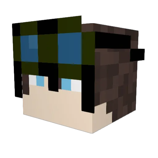 _Oaxaca_ Minecraft avatar head, 3D render