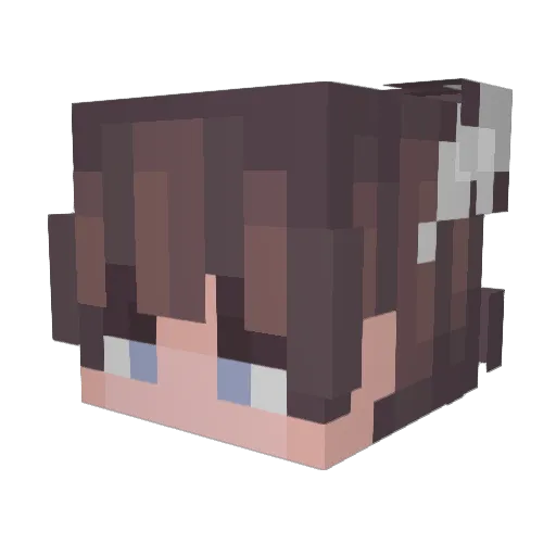 _Ocular Minecraft avatar head, 3D render
