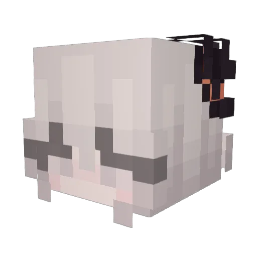 _Oies Minecraft avatar head, 3D render