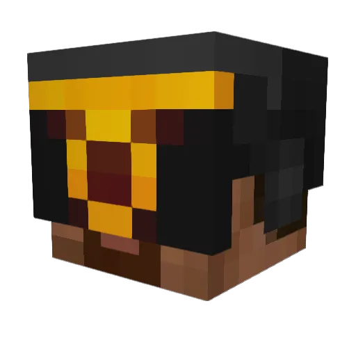_Okay_Boomer_ Minecraft avatar head, 3D render