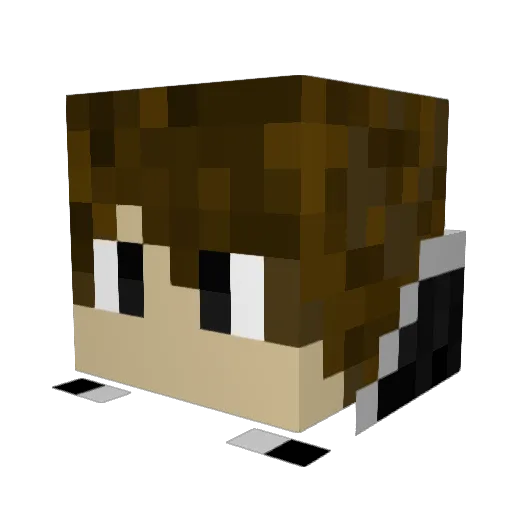 _OmegaGaming_ Minecraft avatar head, 3D render
