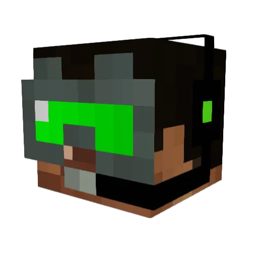 _Onedirectioner Minecraft avatar head, 3D render
