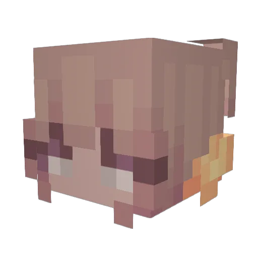 _Oobert_ Minecraft avatar head, 3D render