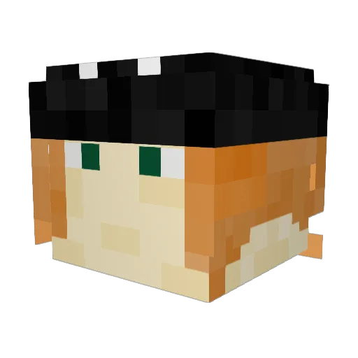 _Orion___ Minecraft avatar head, 3D render
