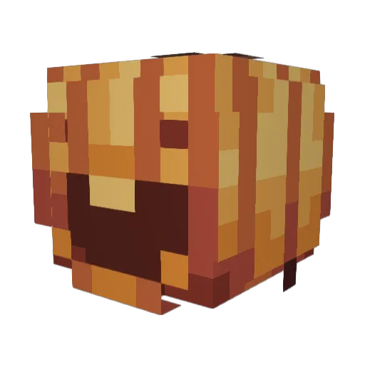 _Ornithologist_ Minecraft avatar head, 3D render